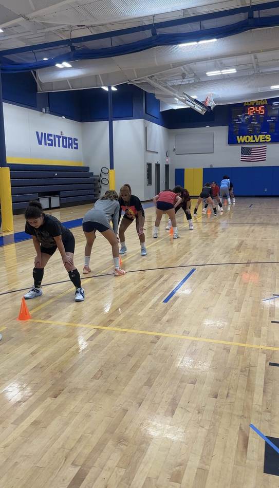 A line of athletes in ready position working through a cone footwork drill